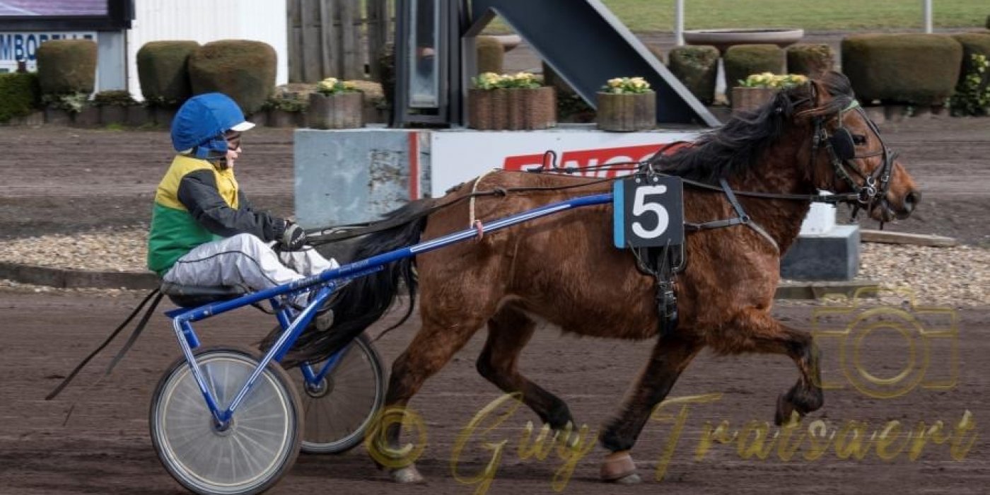 Tips van Gilles 178