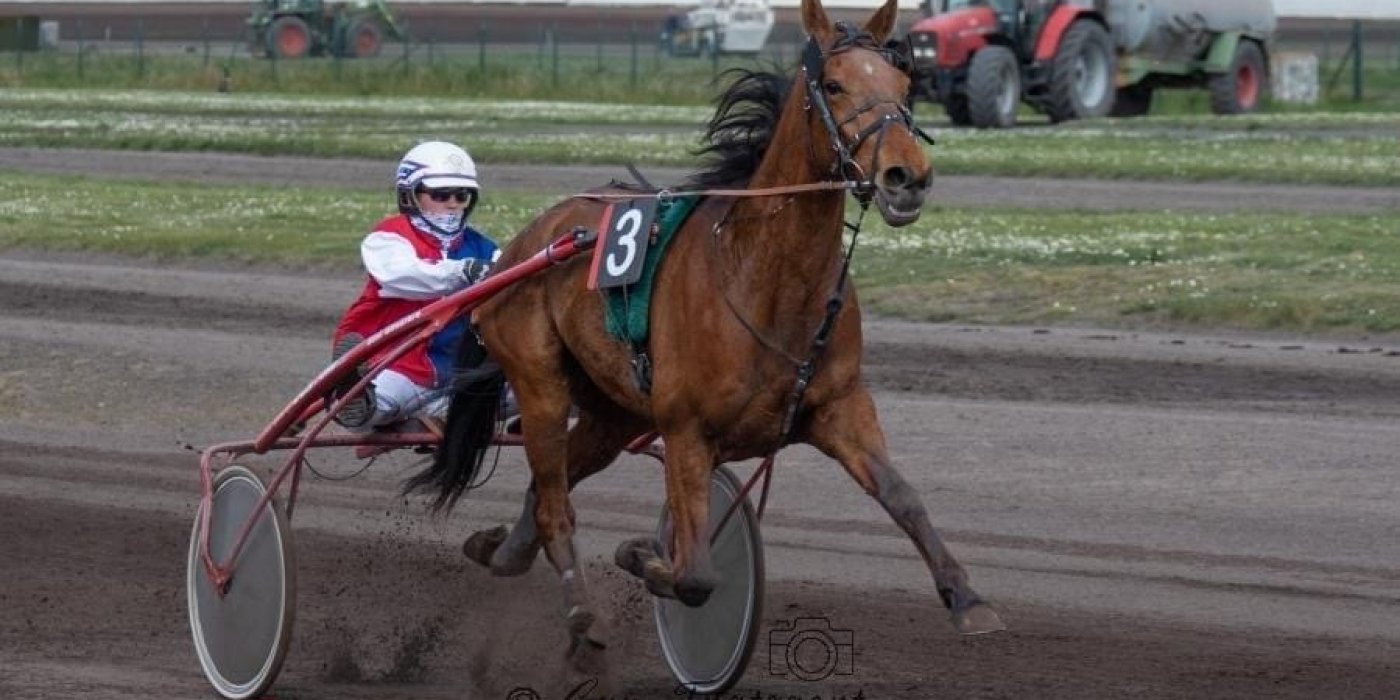 Verslag van de afsluitende meeting 109