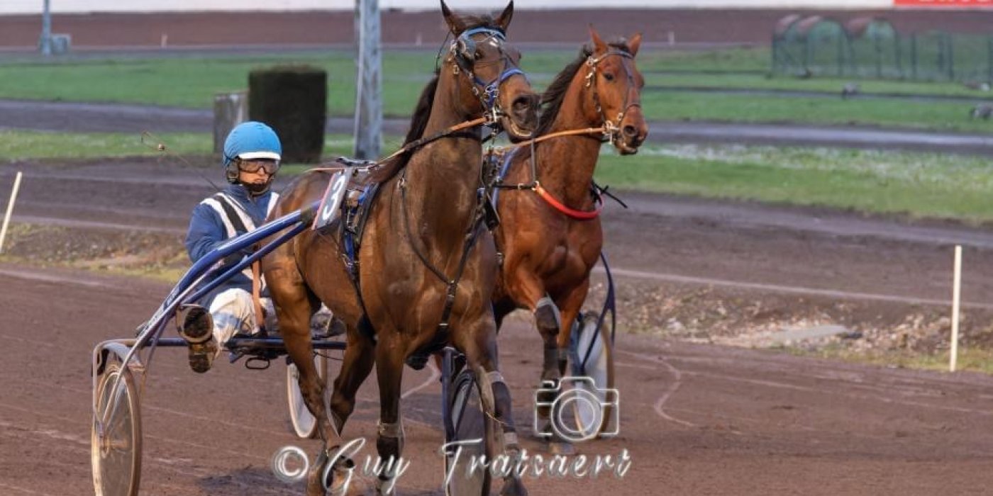 Tips van Gilles Willems 171