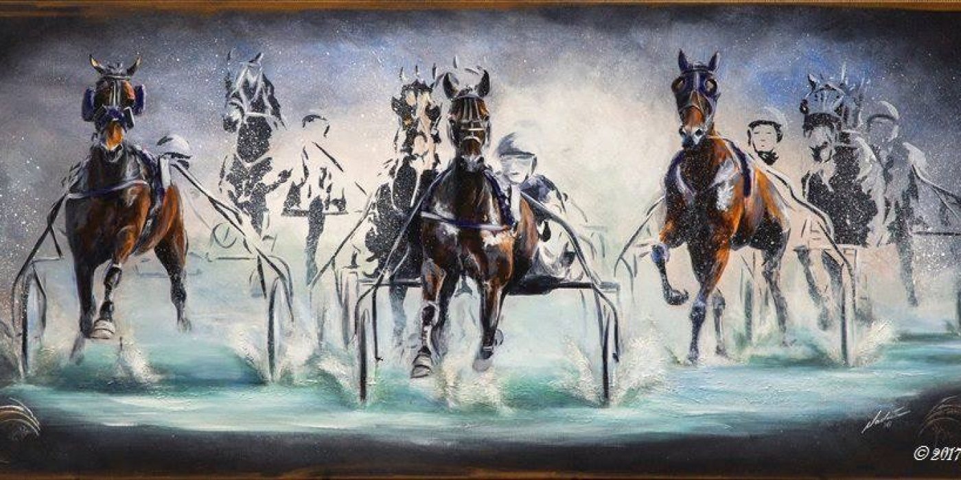 Bericht aan de pistegebruikers 351