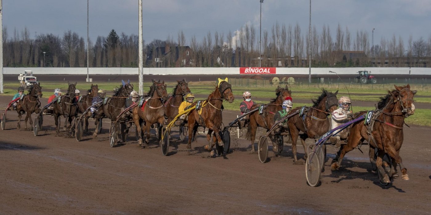 Herhaling bereikbaarheid stallenterrein 209